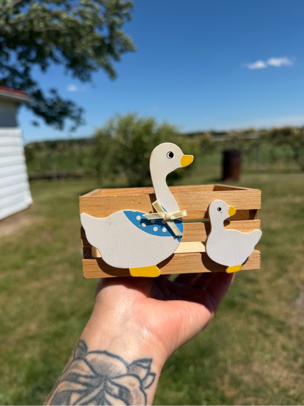 Wooden Goose Mini Crate 4in